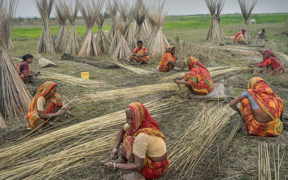 Jute Industry in West Bengal: Risks, Resilience & Future Prospects